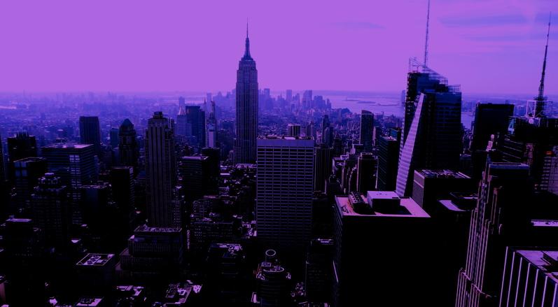 INDEXpurpleNYC5